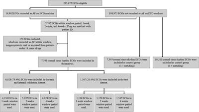 Clinical applicability of an artificial intelligence prediction algorithm for early prediction of non-persistent atrial fibrillation